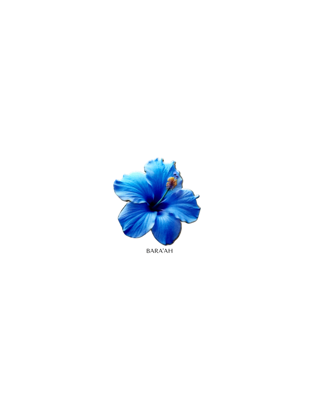 Blue hibiscus flower