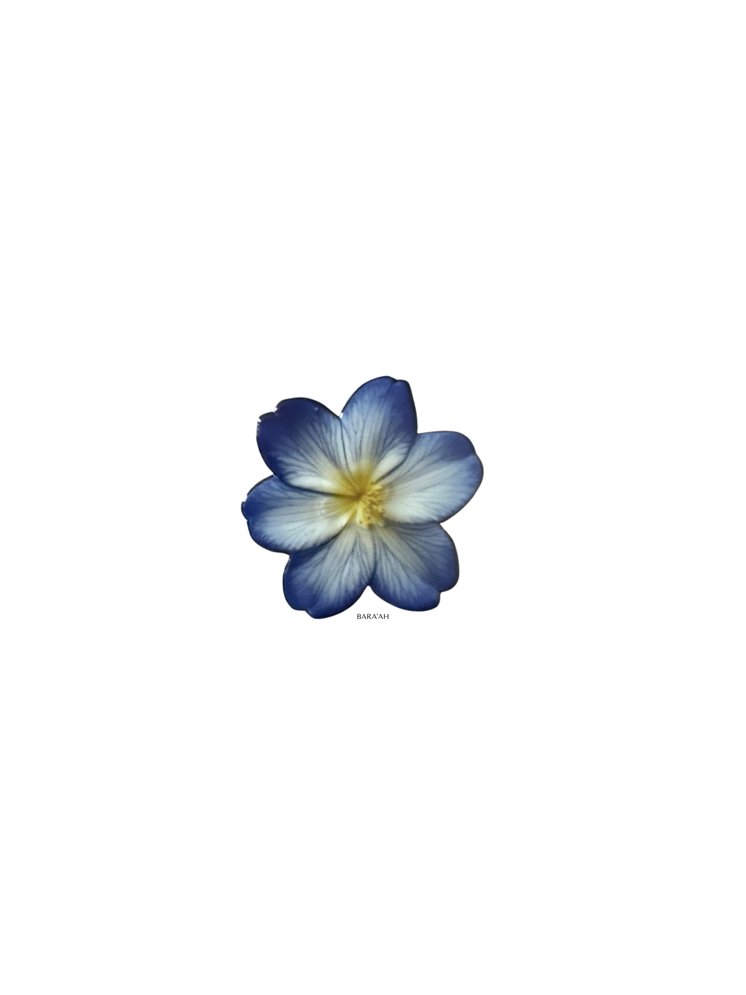 Blue flower